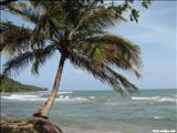 Playa Mala Pascua - PATILLAS